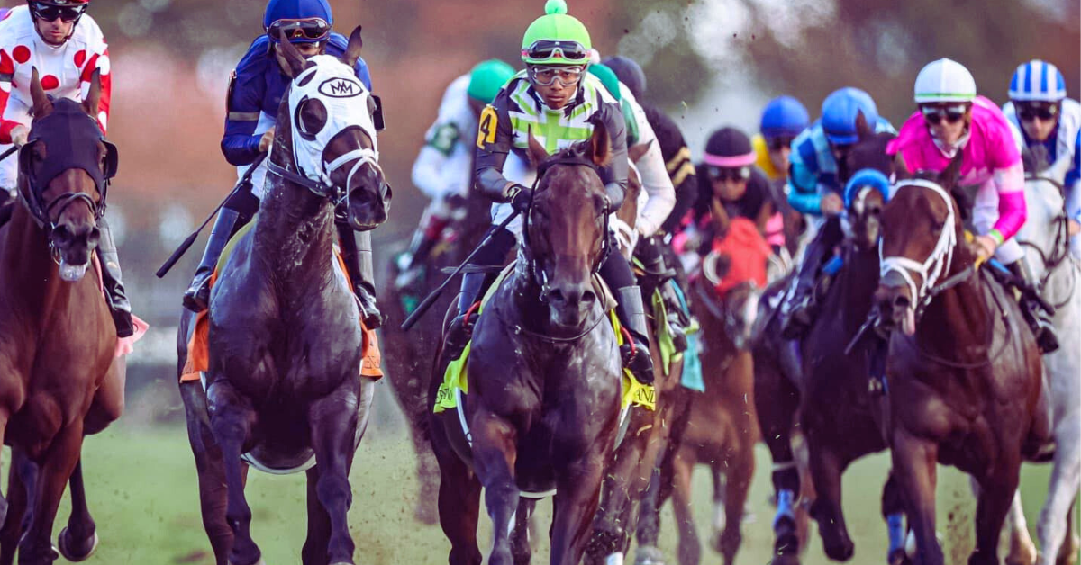Howell Racing horses in training