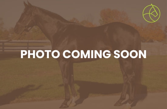 Pivotal Moment – 10 % Ownership Share