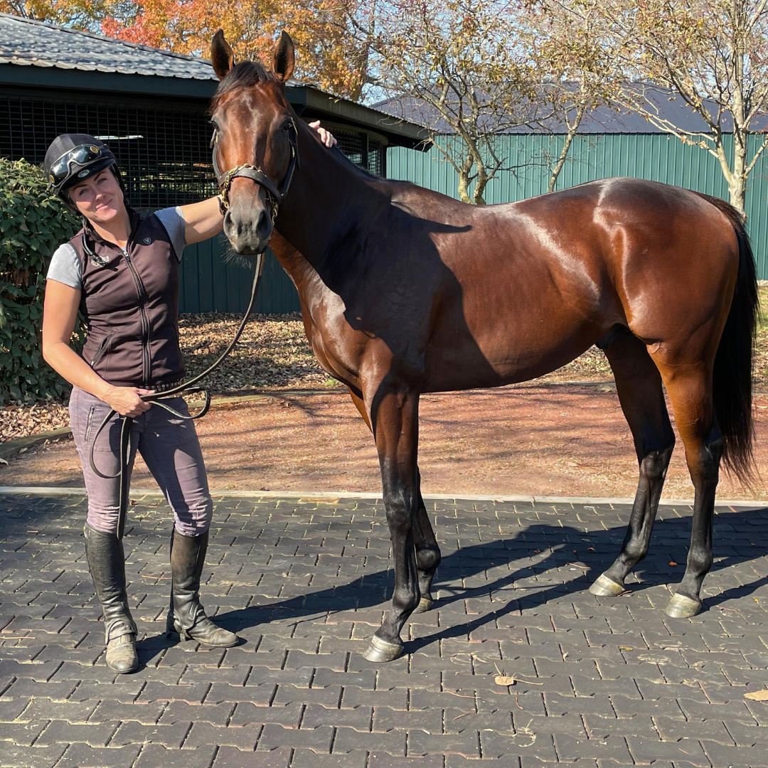 Jessica Howell, Trainer